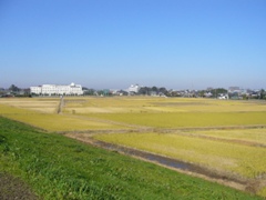 摜4