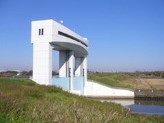 摜5