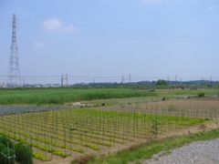 摜4