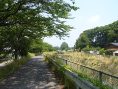 摜5