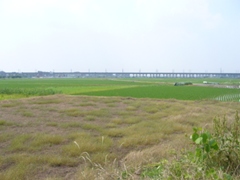 摜6