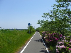 摜1