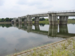 ʌ6
