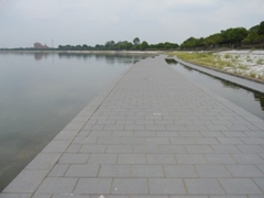 ʌ9