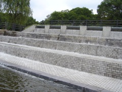 ʌ13