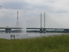 ʌ21